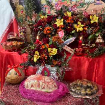 نویسنده: نازنین تسنیمی